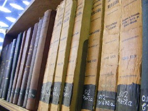 biblioteca 008 copy.jpg